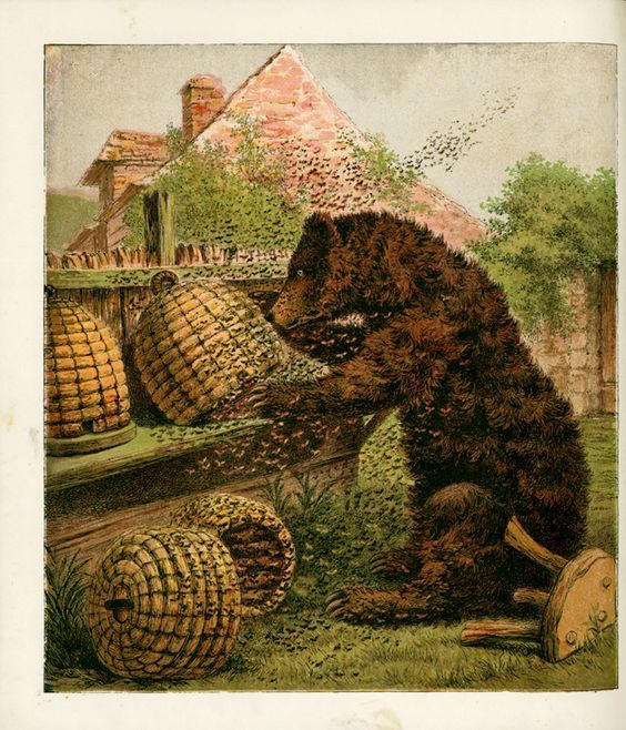 Vintage_illustration_of_a_bear_looting_bee_skeps_of_their_honey.jpg